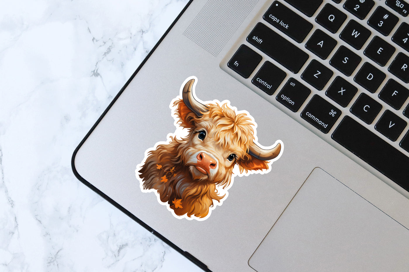 Baby Highland Cow Vinyl Decal Sticker