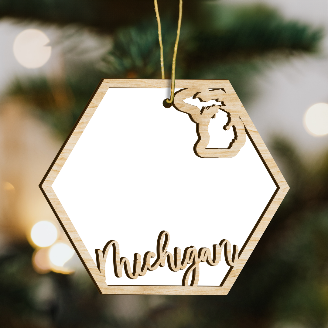 Michigan hexagon wood ornament on a tree, blank photo panel with the state outline