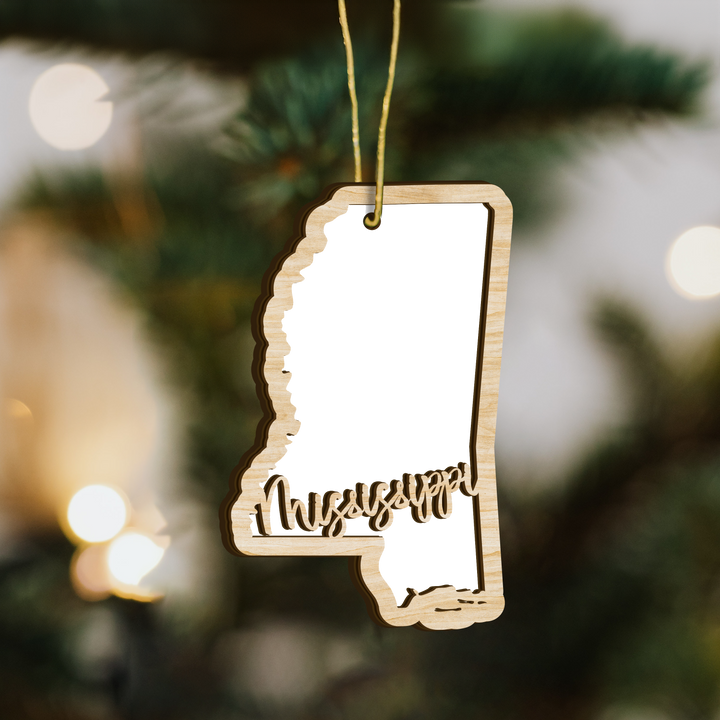 Mississippi state-shape wood ornament on a tree, blank photo panel for your own picture