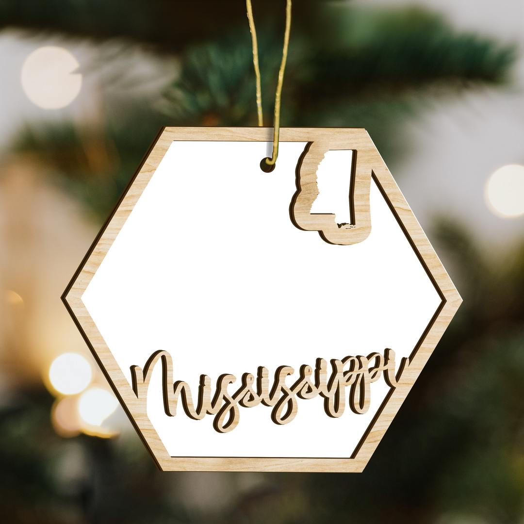 Mississippi hexagon wood ornament on a tree, blank photo panel with the state outline