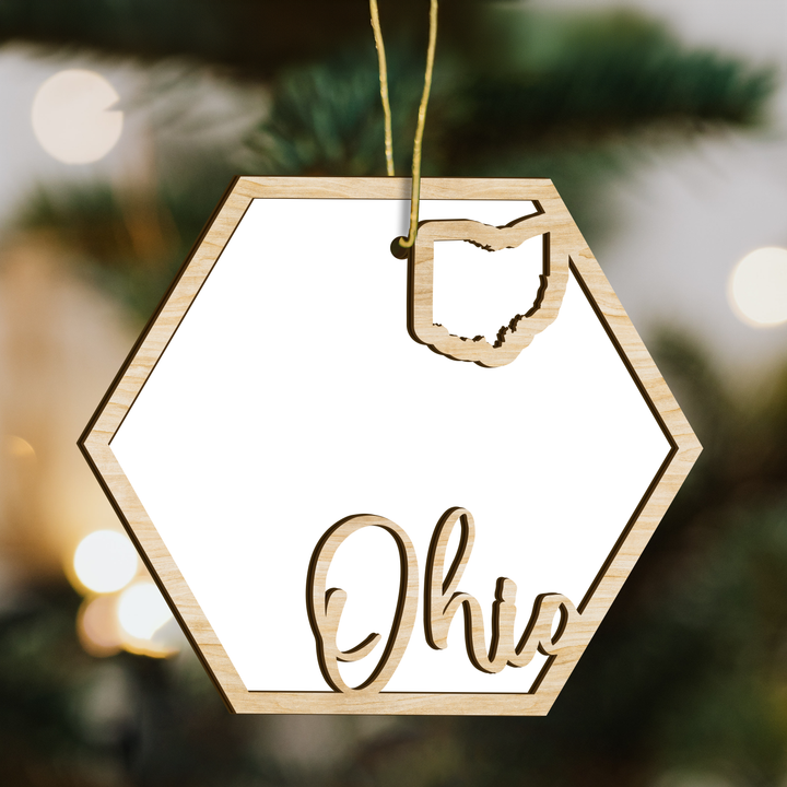 Ohio hexagon wood ornament on a tree, blank photo panel with the state outline