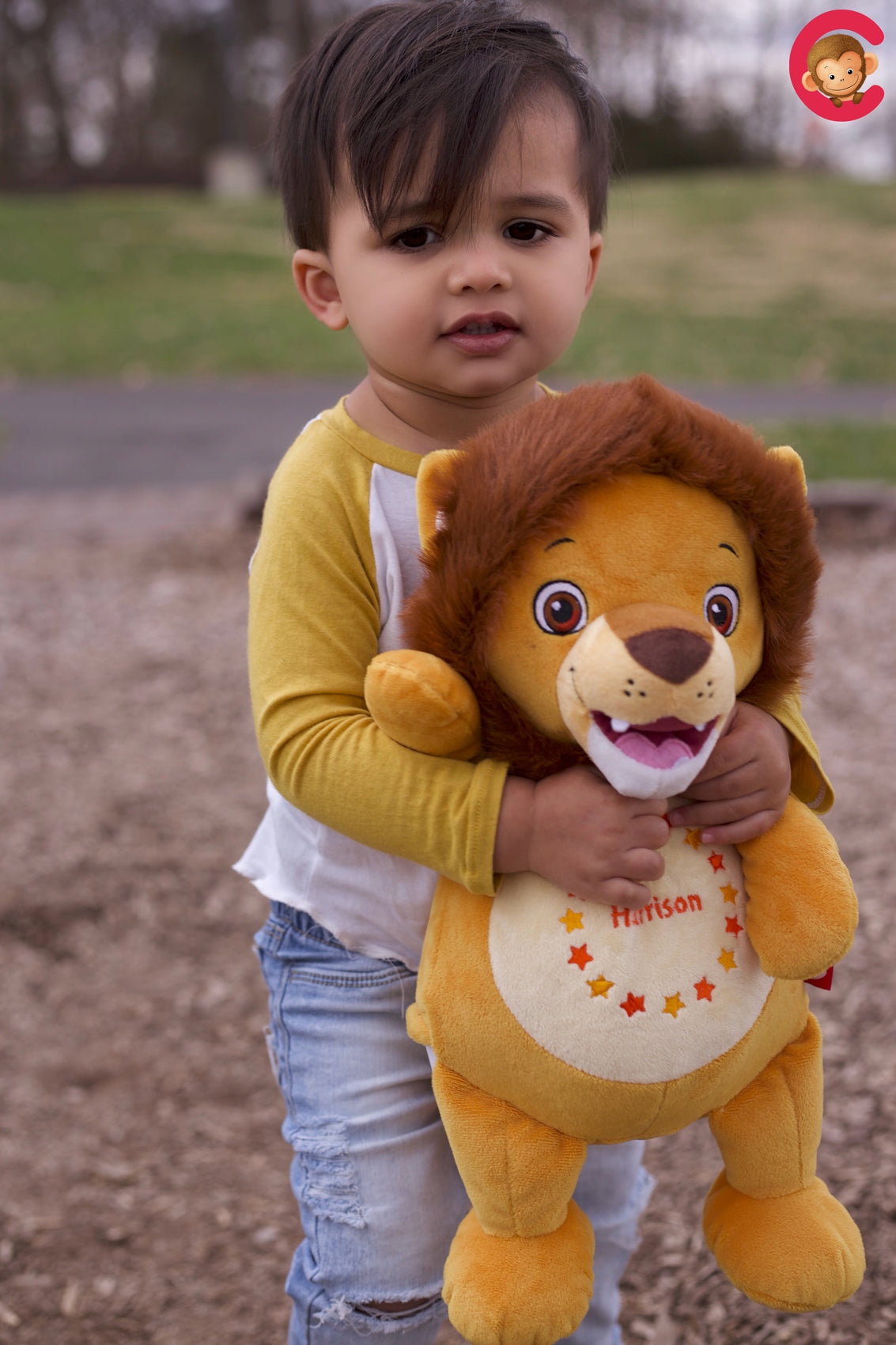 Lion Personalized Cubbie Plush