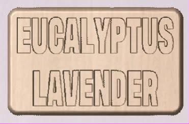 Rectangle shower tab mold cast in pale wood tone, EUCALYPTUS over LAVENDER in outlined block letters
