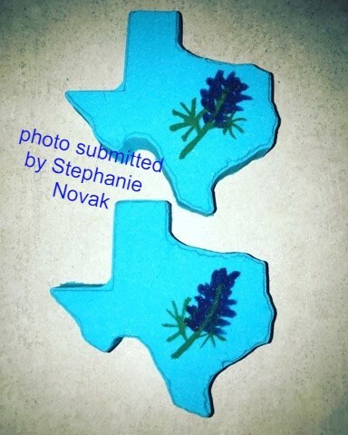 YOU CHOOSE State or Country Plastic Mold, bath bomb mold, soap mold, state mold, resin mold, country mold, texas mold, usa mold, Louisiana