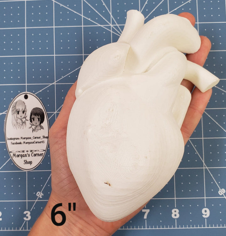 Human Heart Plastic Mold or silicone mold, Resin Mold, heart Mold, clay mold, soap mold, wax mold, anatomy mold, human mold, bath bomb mold