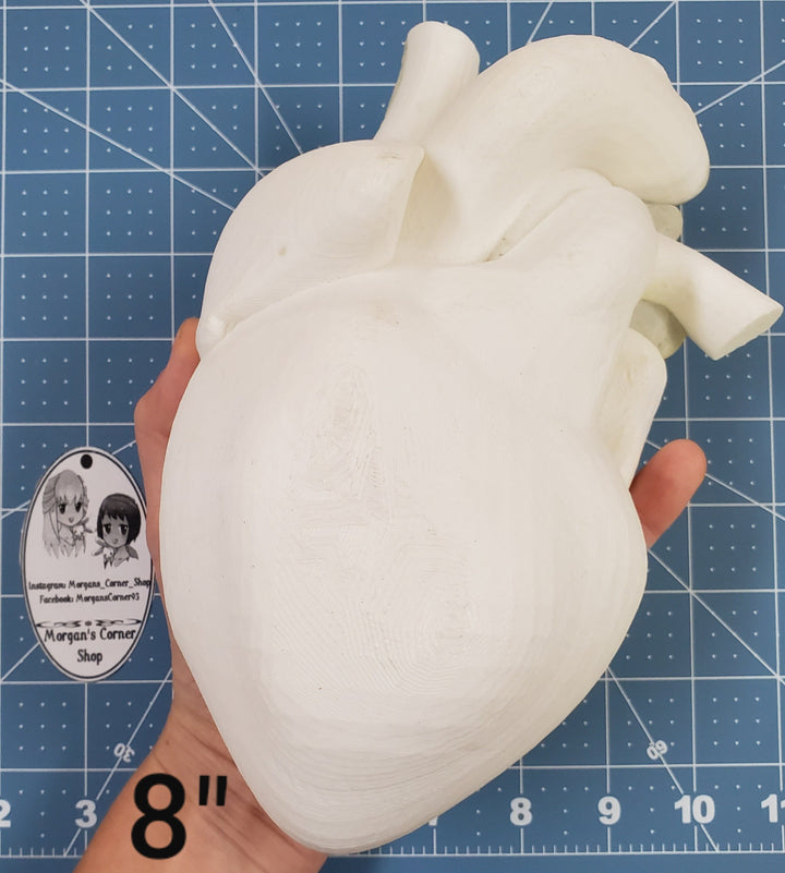 Human Heart Plastic Mold or silicone mold, Resin Mold, heart Mold, clay mold, soap mold, wax mold, anatomy mold, human mold, bath bomb mold