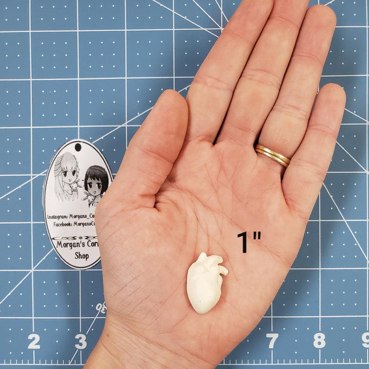 Human Heart Plastic Mold or silicone mold, Resin Mold, heart Mold, clay mold, soap mold, wax mold, anatomy mold, human mold, bath bomb mold