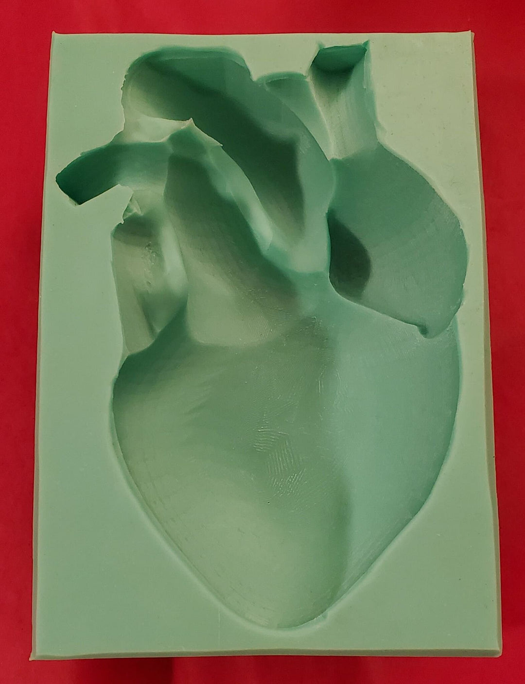 Human Heart Plastic Mold or silicone mold, Resin Mold, heart Mold, clay mold, soap mold, wax mold, anatomy mold, human mold, bath bomb mold