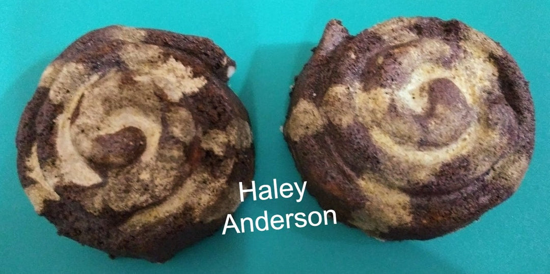 Cinnamon Roll Plastic Mold or Silicone mold, bath bomb mold, soap mold, dessert mold, resin mold, cake mold, food mold, Chocolate mold