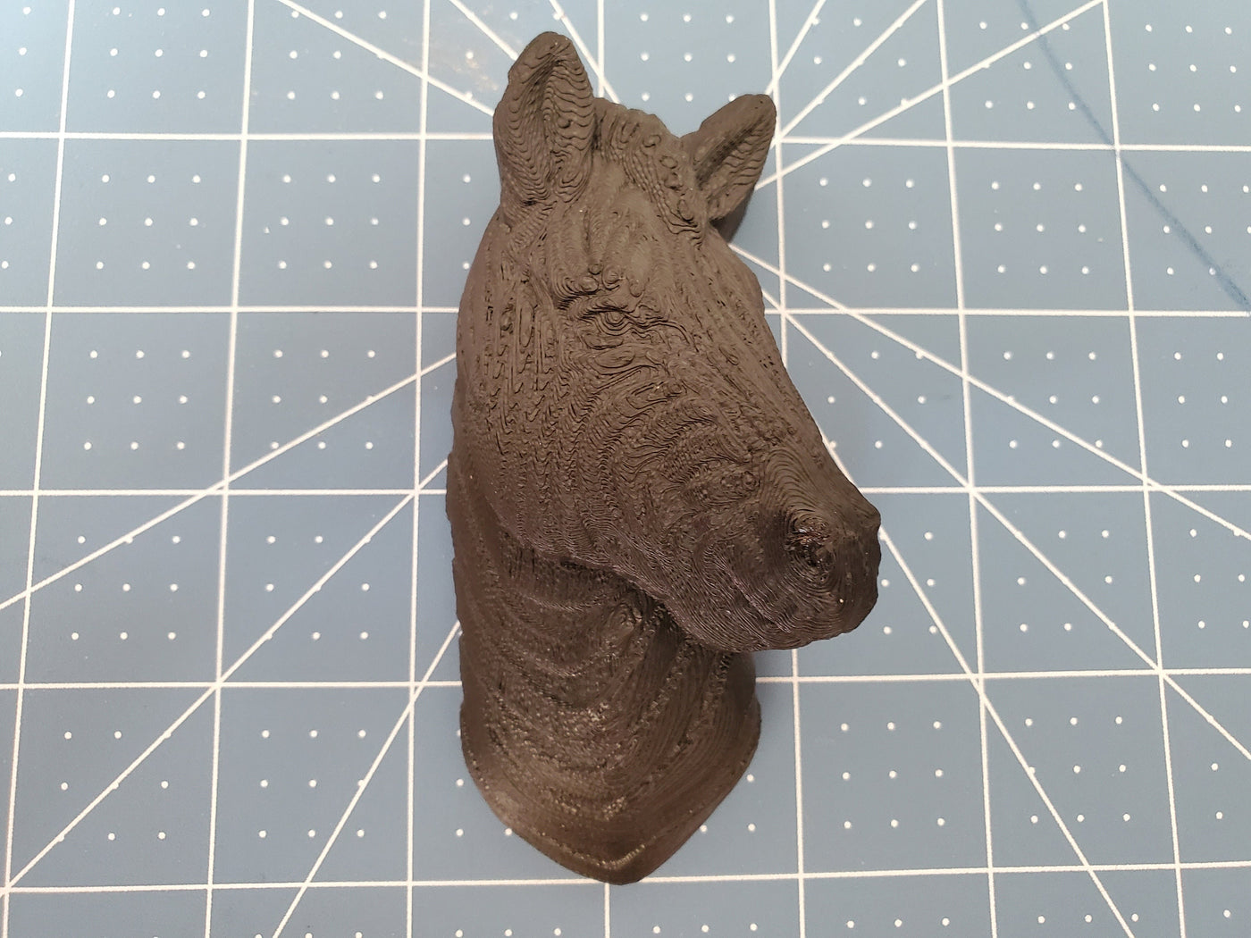 Zebra Head Plastic Mold or Silicone mold, bath bomb mold, soap mold, safari mold, resin mold, animal mold, zebra mold, Chocolate mold,Africa