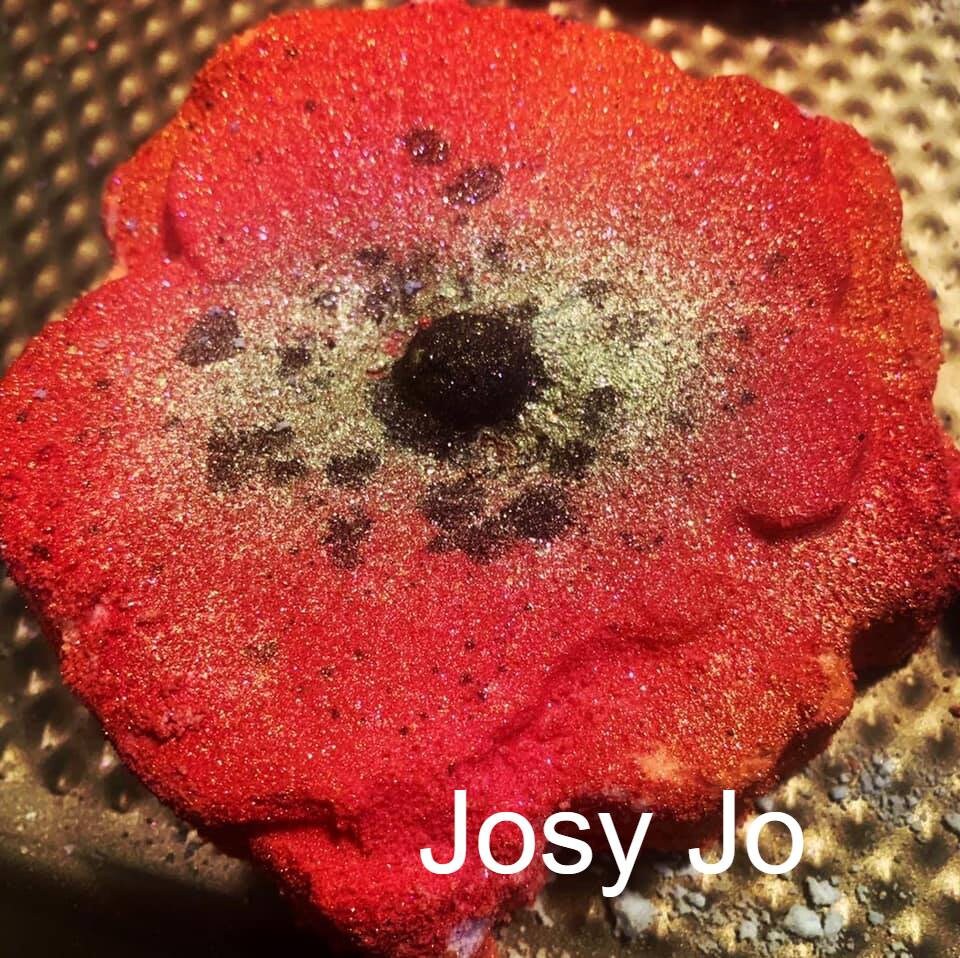Poppy Flower Plastic Mold or Silicone mold, bath bomb mold, soap mold, poppy mold, resin mold, flower mold, floral mold, bud mold, nature
