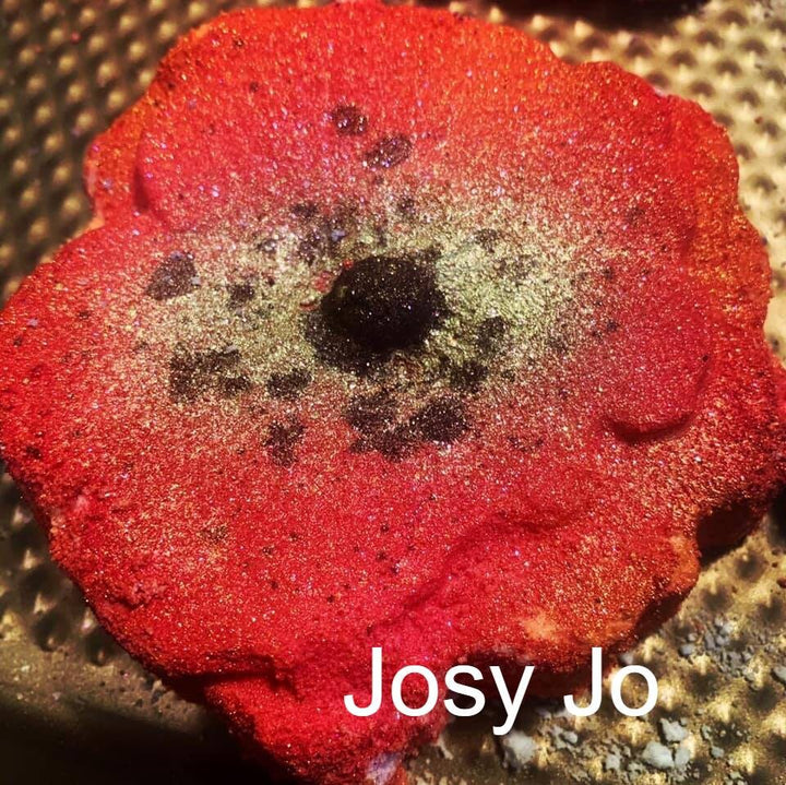 Poppy Flower Plastic Mold or Silicone mold, bath bomb mold, soap mold, poppy mold, resin mold, flower mold, floral mold, bud mold, nature