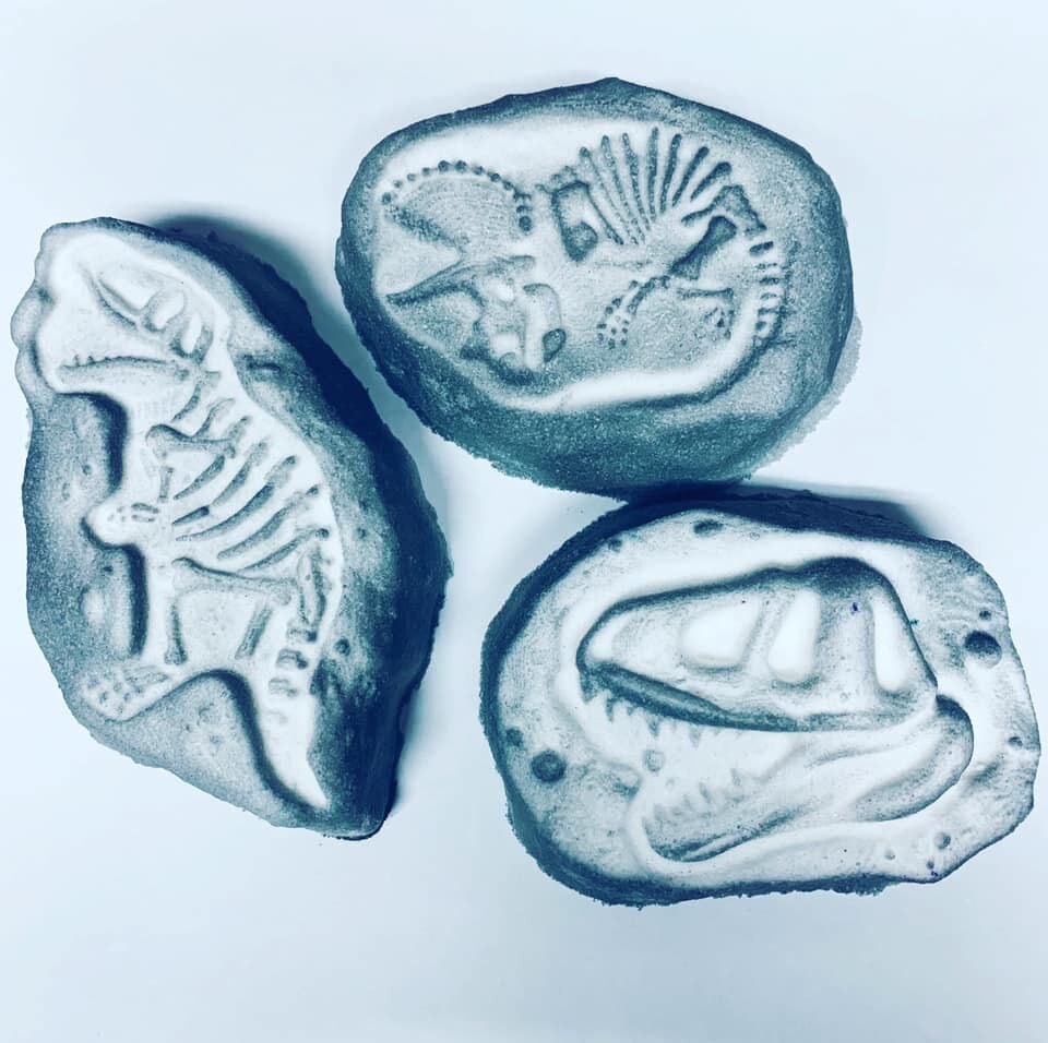 Three blue and white dino fossil casts - skull, skeleton and Triceratops