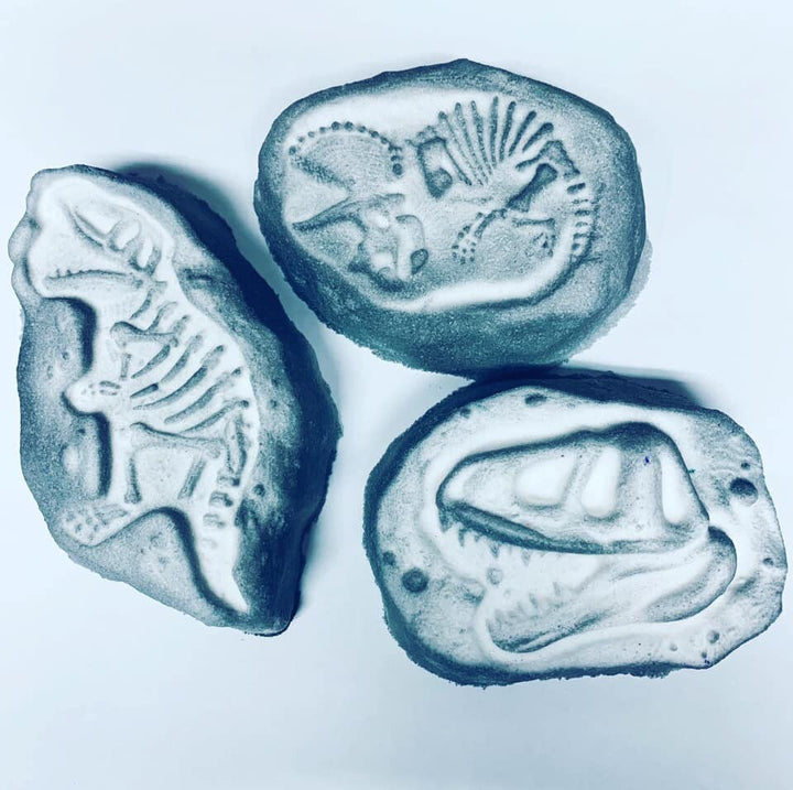 Three blue and white dino fossil casts - skull, skeleton and Triceratops