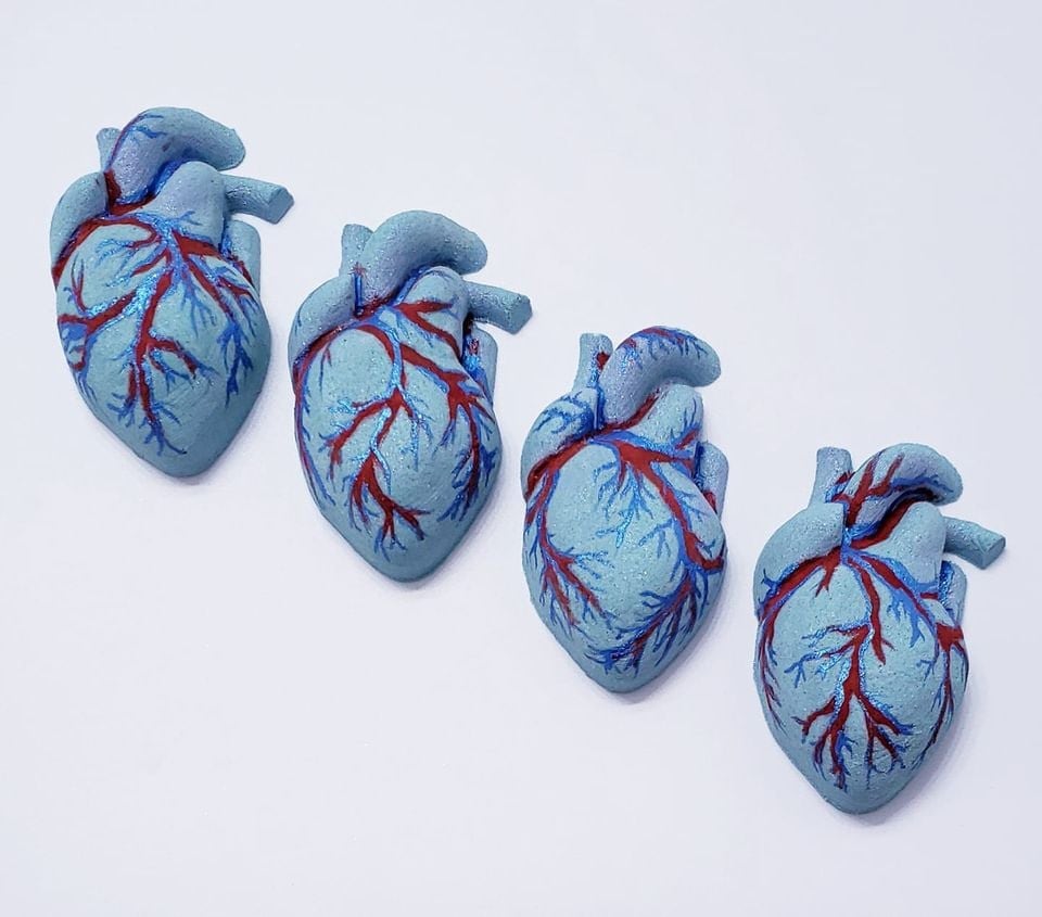 Human Heart Plastic Mold or silicone mold, Resin Mold, heart Mold, clay mold, soap mold, wax mold, anatomy mold, human mold, bath bomb mold