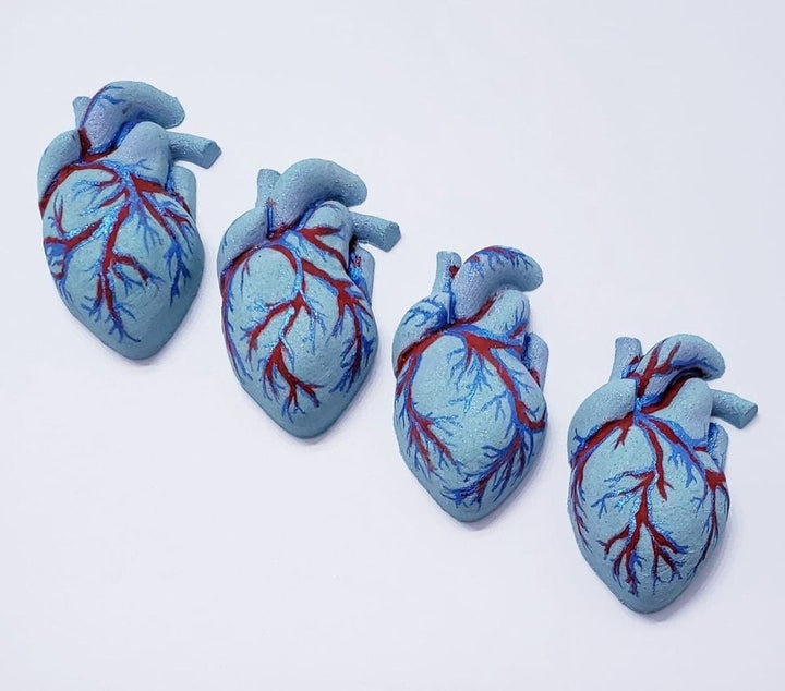 Human Heart Plastic Mold or silicone mold, Resin Mold, heart Mold, clay mold, soap mold, wax mold, anatomy mold, human mold, bath bomb mold