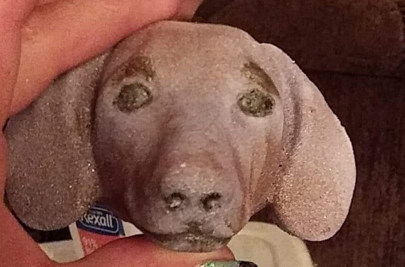 Dachshund Plastic Mold, dog mold, bath bomb mold, soap mold, Dachshund mold, resin mold, puppy mold, wiener dog mold, badger dog mold, doxie