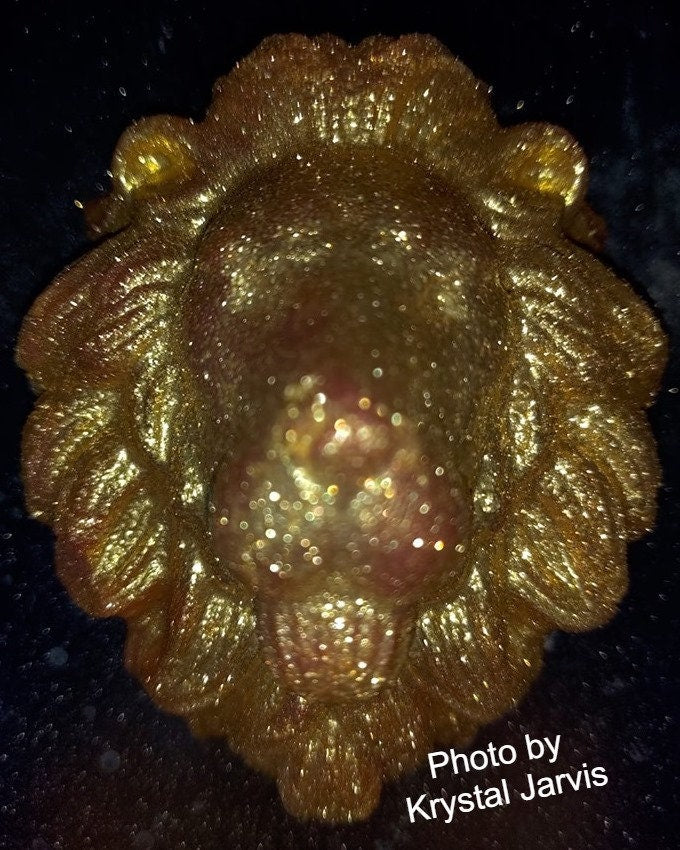 Lion Head Plastic Mold or Silicone mold, bath bomb mold, soap mold, lion mold, resin mold, cat mold, big cat mold, king mold, mane mold