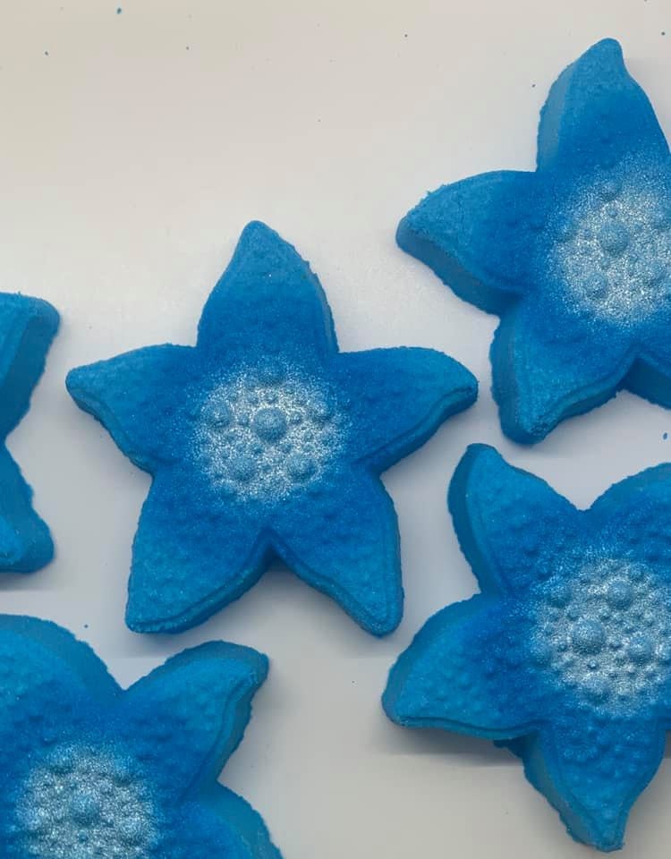 Simple Starfish Plastic Mold or Silicone mold, bath bomb mold, soap mold, starfish mold, resin mold, star mold, fish mold, sea mold, mould