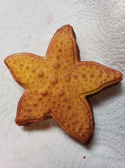 Simple Starfish Plastic Mold or Silicone mold, bath bomb mold, soap mold, starfish mold, resin mold, star mold, fish mold, sea mold, mould