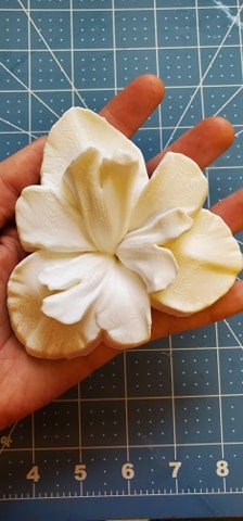 Iris Plastic Mold or Silicone mold, bath bomb mold, soap mold, flower mold, resin mold, stargazer mold, floral mold, star mold, blue flag