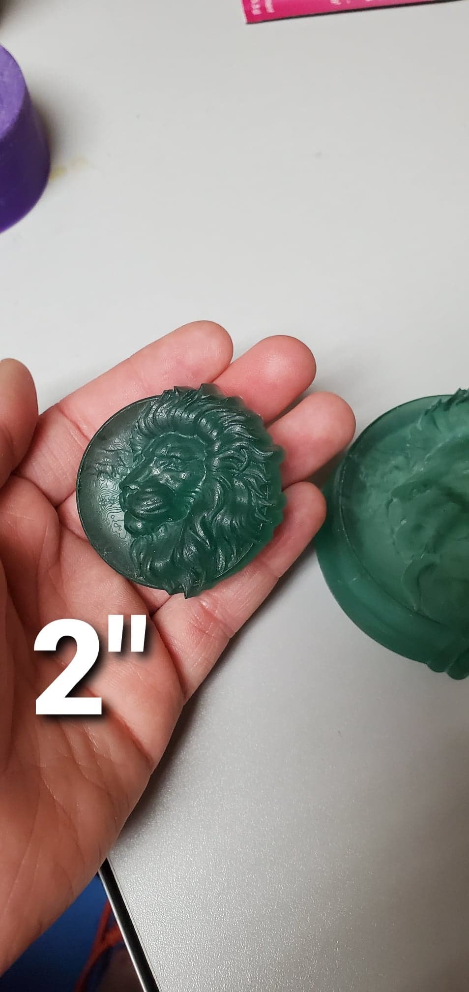 Lion Safari on a Disc Plastic Mold or Silicone mold, bath bomb mold, soap mold, lion mold, resin mold, cat mold, big cat mold, king mold