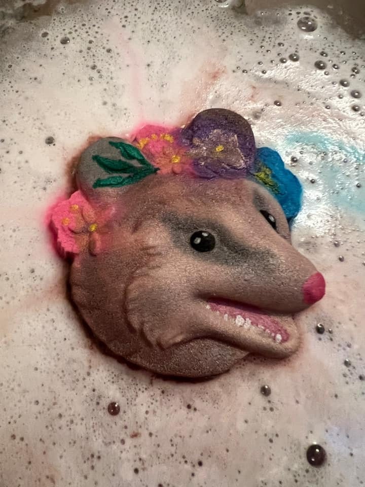 Opossum Head Plastic Mold or Silicone mold, bath bomb mold, soap mold, Opossum mold, resin mold, animal mold, chocolate mold, possum Mold