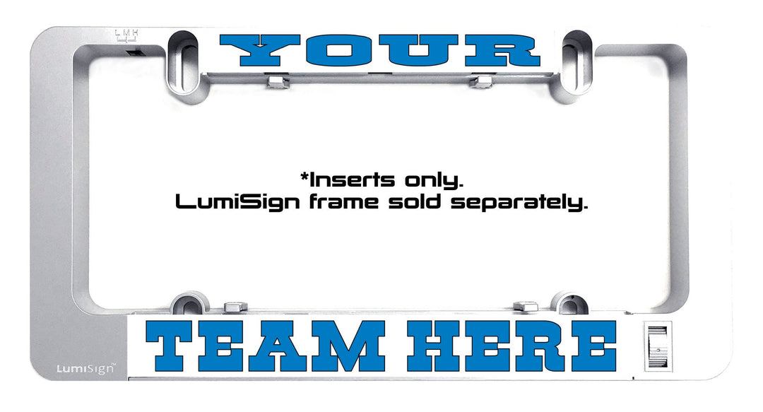 Personalized Custom LumiSign License Plate Inserts, Custom saying insert, personalized vanity plate **INSERTS ONLY - frame sold separately**