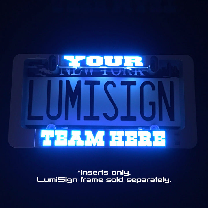 Personalized Custom LumiSign License Plate Inserts, Custom saying insert, personalized vanity plate **INSERTS ONLY - frame sold separately**