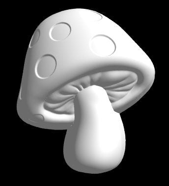 Toadstool Mushroom Mold Mould