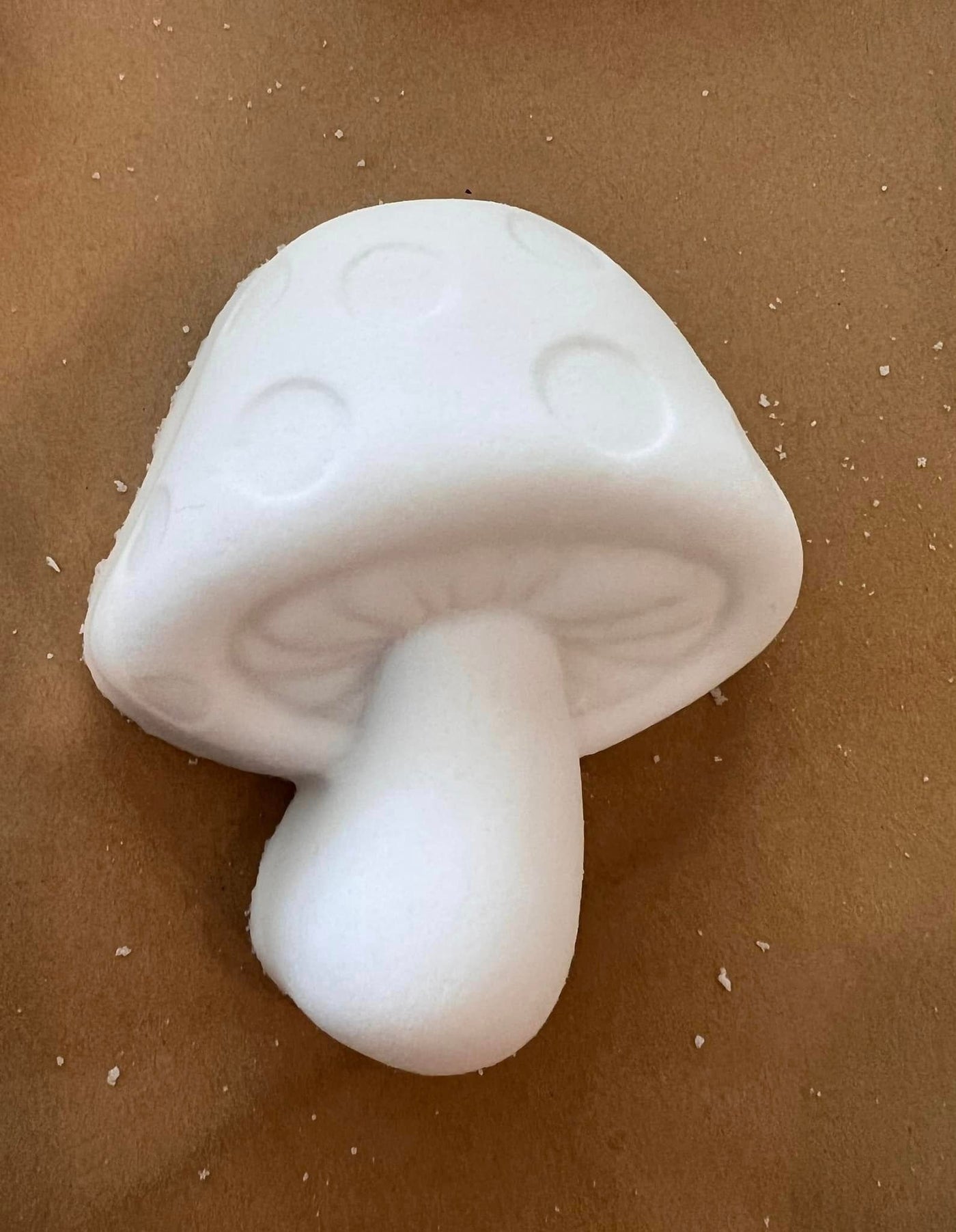 Toadstool Mushroom Mold Mould