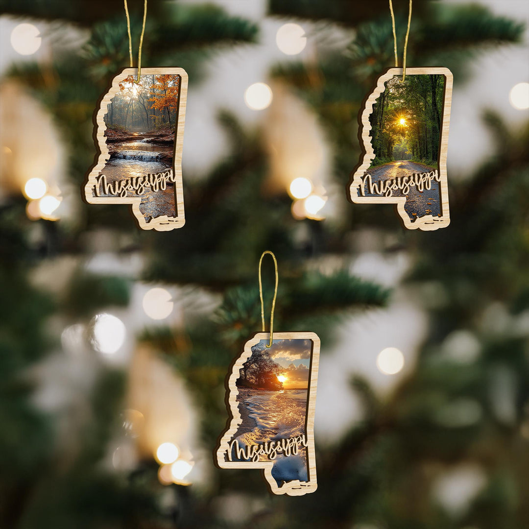 Mississippi state wood ornament custom photo option