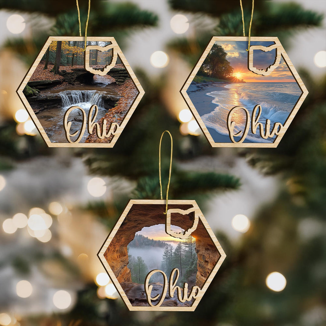 Ohio state wood ornament