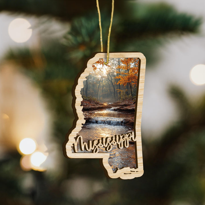 Mississippi state wood ornament hanging display