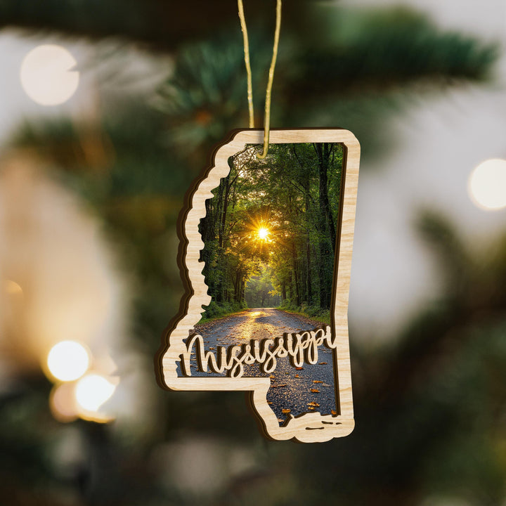 Mississippi state wood ornament close up