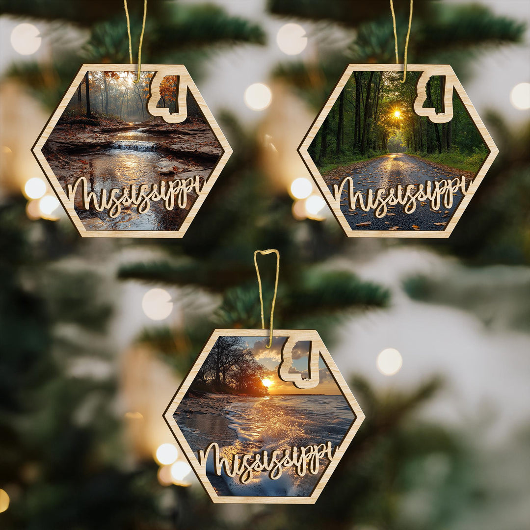 Mississippi state wood ornament