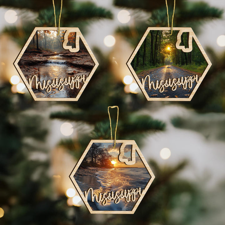 Mississippi state wood ornament