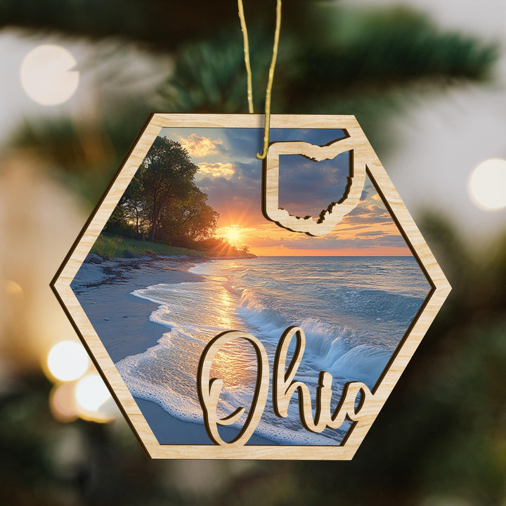 Ohio state wood ornament scene detail
