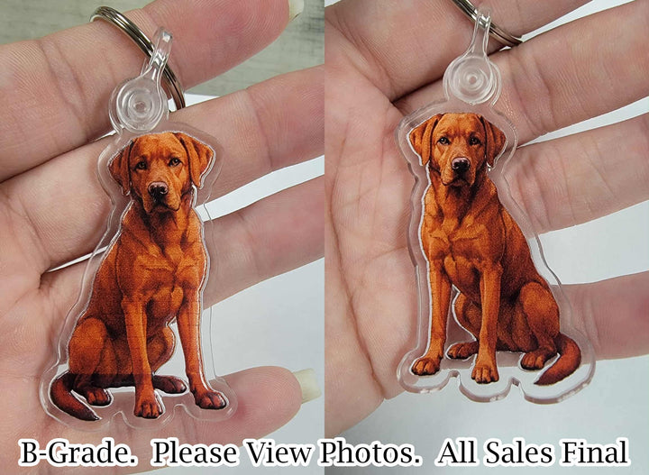 Fox Red Labrador Acrylic Keychain, Adorable 2" Double-Sided Acrylic Black Labrador Keychain - Loyal Dog Lover Gift - Durable and Lightweight