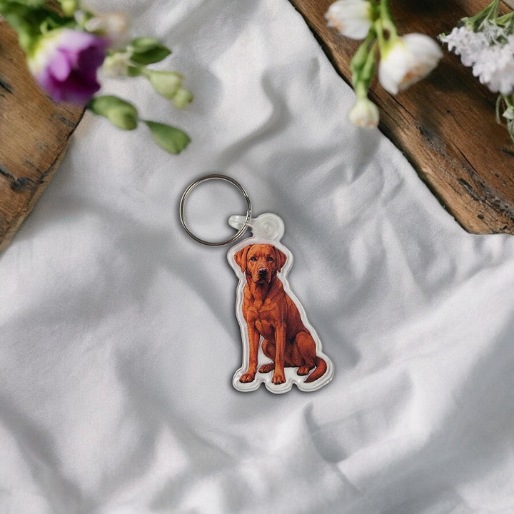 Chocolate Labrador Acrylic Keychain, Adorable 2" Double-Sided Acrylic Black Labrador Keychain - Loyal Dog Lover Gift - Durable Lightweight
