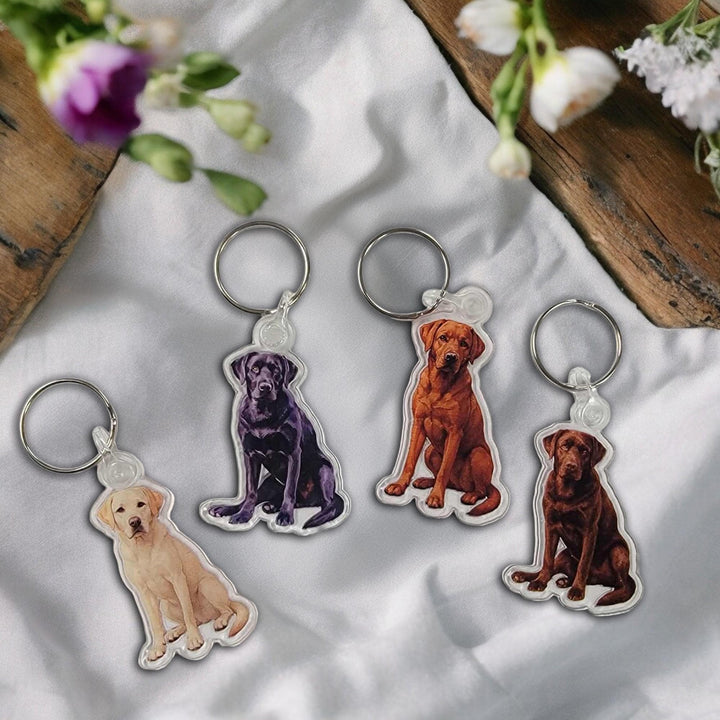 Chocolate Labrador Acrylic Keychain, Adorable 2" Double-Sided Acrylic Black Labrador Keychain - Loyal Dog Lover Gift - Durable Lightweight