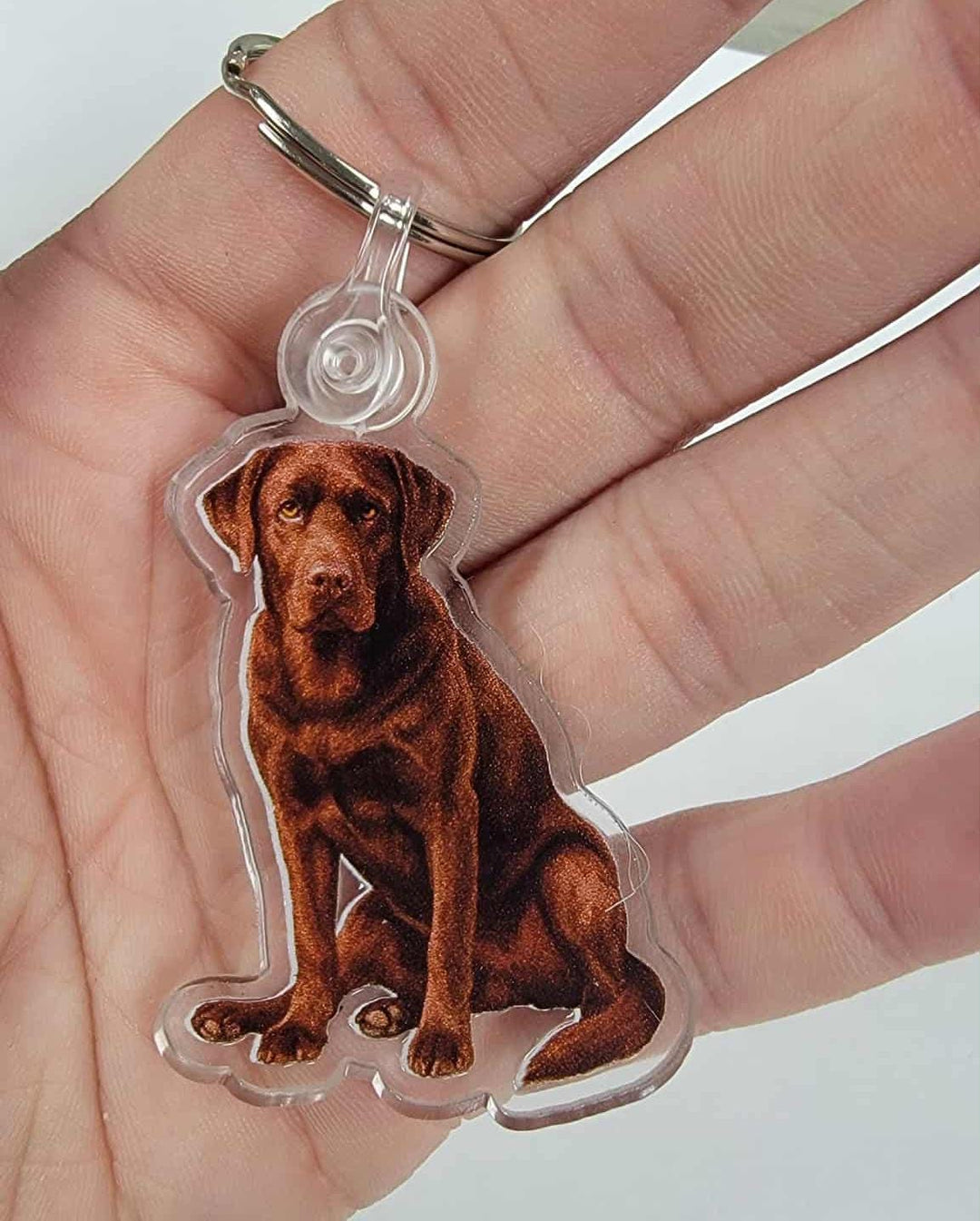 Chocolate Labrador Acrylic Keychain, Adorable 2" Double-Sided Acrylic Black Labrador Keychain - Loyal Dog Lover Gift - Durable Lightweight