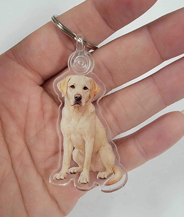 Chocolate Labrador Acrylic Keychain, Adorable 2" Double-Sided Acrylic Black Labrador Keychain - Loyal Dog Lover Gift - Durable Lightweight