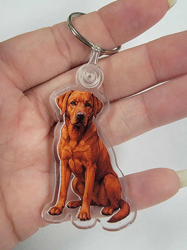Chocolate Labrador Acrylic Keychain, Adorable 2" Double-Sided Acrylic Black Labrador Keychain - Loyal Dog Lover Gift - Durable Lightweight