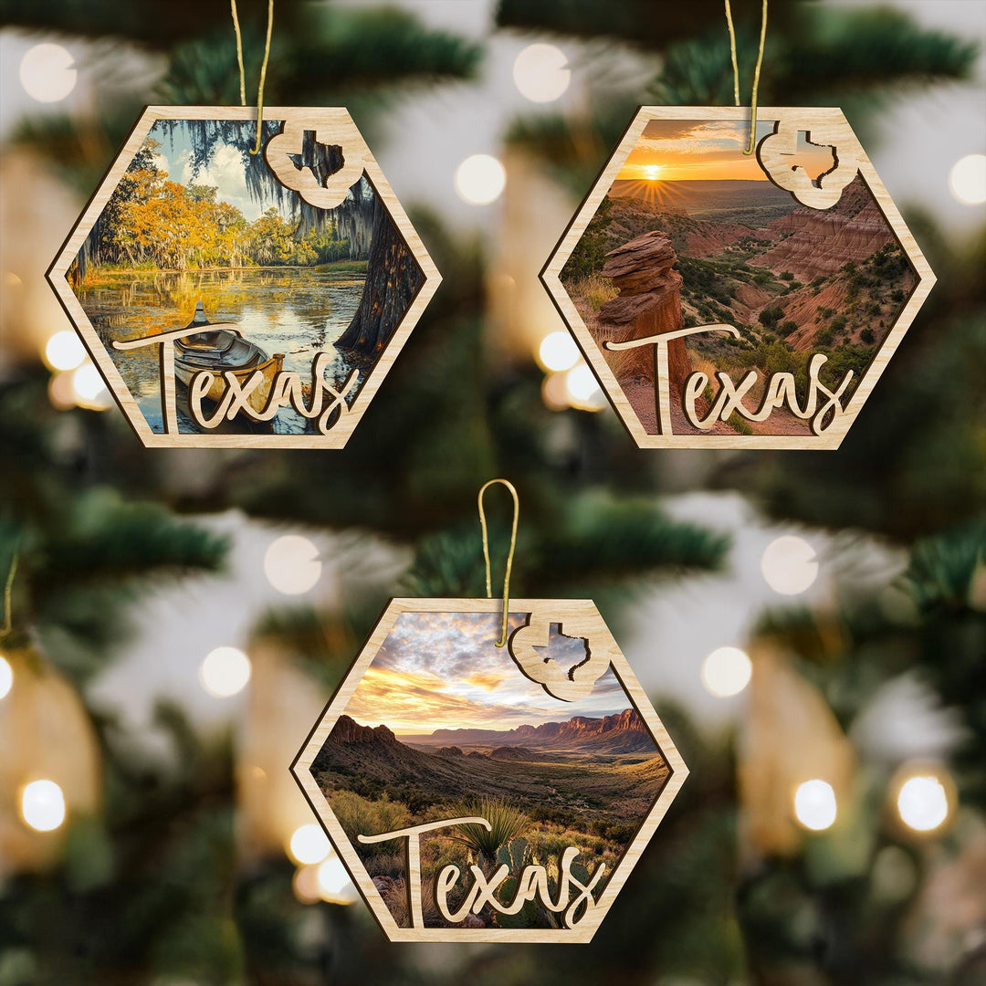 Texas state wood ornament