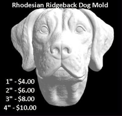 White Rhodesian Ridgeback dog head casting with folded ears, a wrinkled brow and heavy jowls
