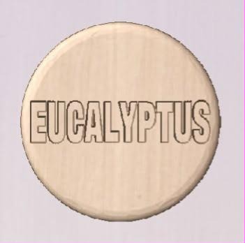 Round shower tablet mold with EUCALYPTUS in outlined block capitals across the face.