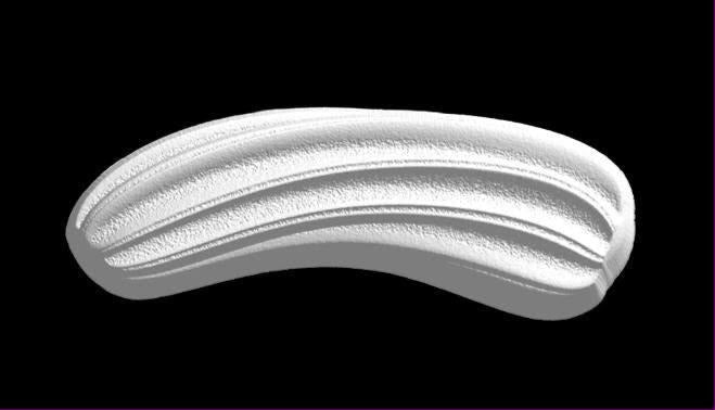 Churro mold, a long curved fluted stick with deep ridges and a grainy sugar surface texture.