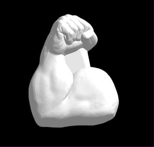 White cast of a flexed arm mold with a bulging bicep and a clenched fist, sculpted in relief.