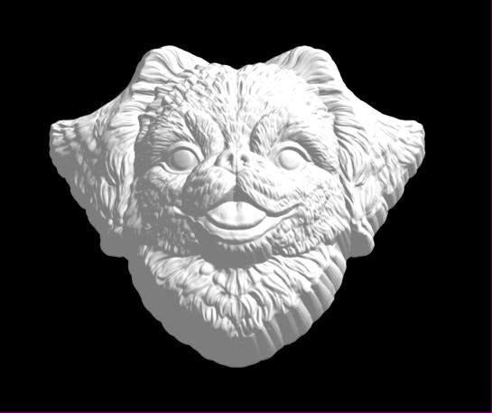 Tibetan Spaniel head mold with long feathered fur, big round eyes and a short pushed-in muzzle.